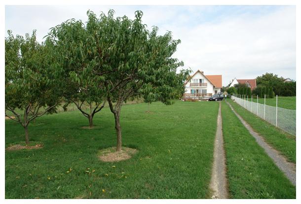 Csiri Vendeghaz Villa Cserszegtomaj Kültér fotó